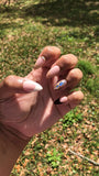 French Glam Nude