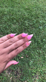 Pink Luxe