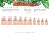 The Root Chakra